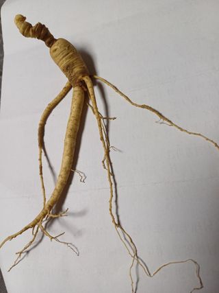 포천종삼농사꾼님의 자유주제 · 자유게시판 작성글 사진