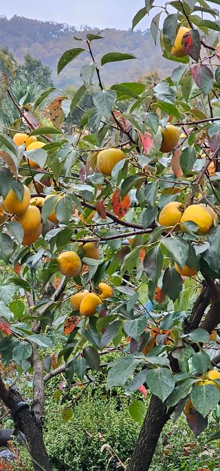 박희철님의 자유주제 · 자유게시판 작성글 사진