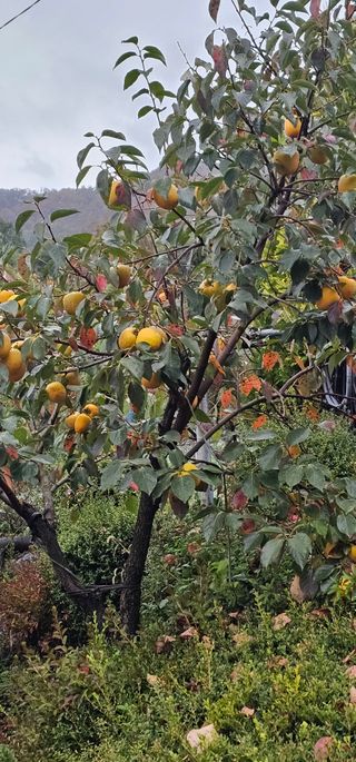 박희철님의 자유주제 · 자유게시판 작성글 사진