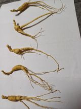 팜모닝 자유주제·자유게시판 게시글 이미지