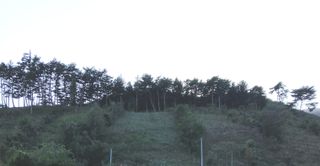 인생은 소풍처럼님의 11월 농사 계획 공유하기 · 참여글 작성글 사진