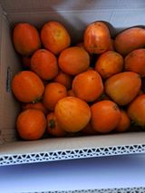 팜모닝 자유주제·자유게시판 게시글 이미지