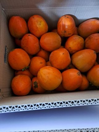 김성년님의 자유주제 · 자유게시판 작성글 사진