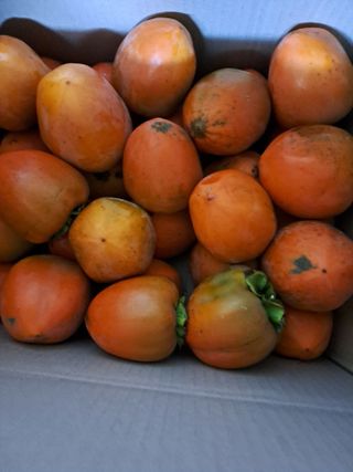 김성년님의 자유주제 · 자유게시판 작성글 사진