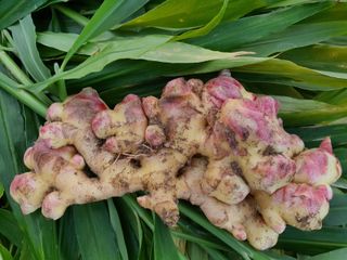 김미선님의 작성글 사진