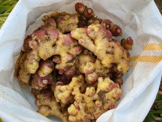 김미선님의 작성글 사진