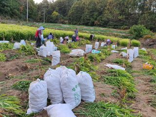 김미선님의 작성글 사진
