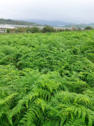 이영옥님의 자유주제 · 자유게시판 작성글 사진