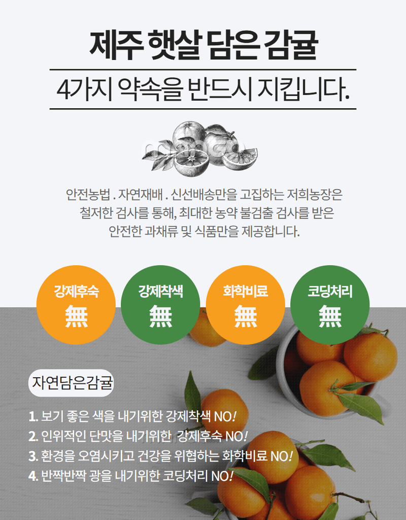 정유진님의 장터 판매 상품 [제주 감귤 로얄과 (s-m) 2kg] 첨부 사진