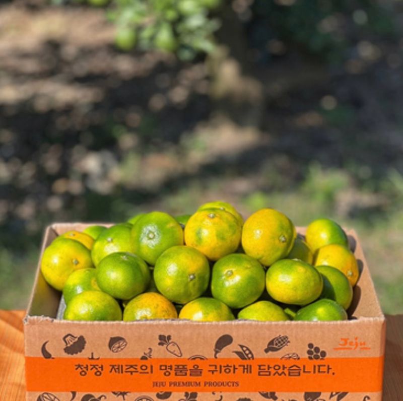 정유진님의 장터 판매 상품 [제주 감귤 로얄과 (s-m) 2kg] 첨부 사진