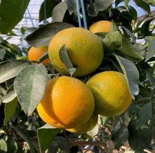 정유진님의 작성글 사진