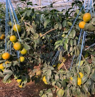 정유진님의 작성글 사진