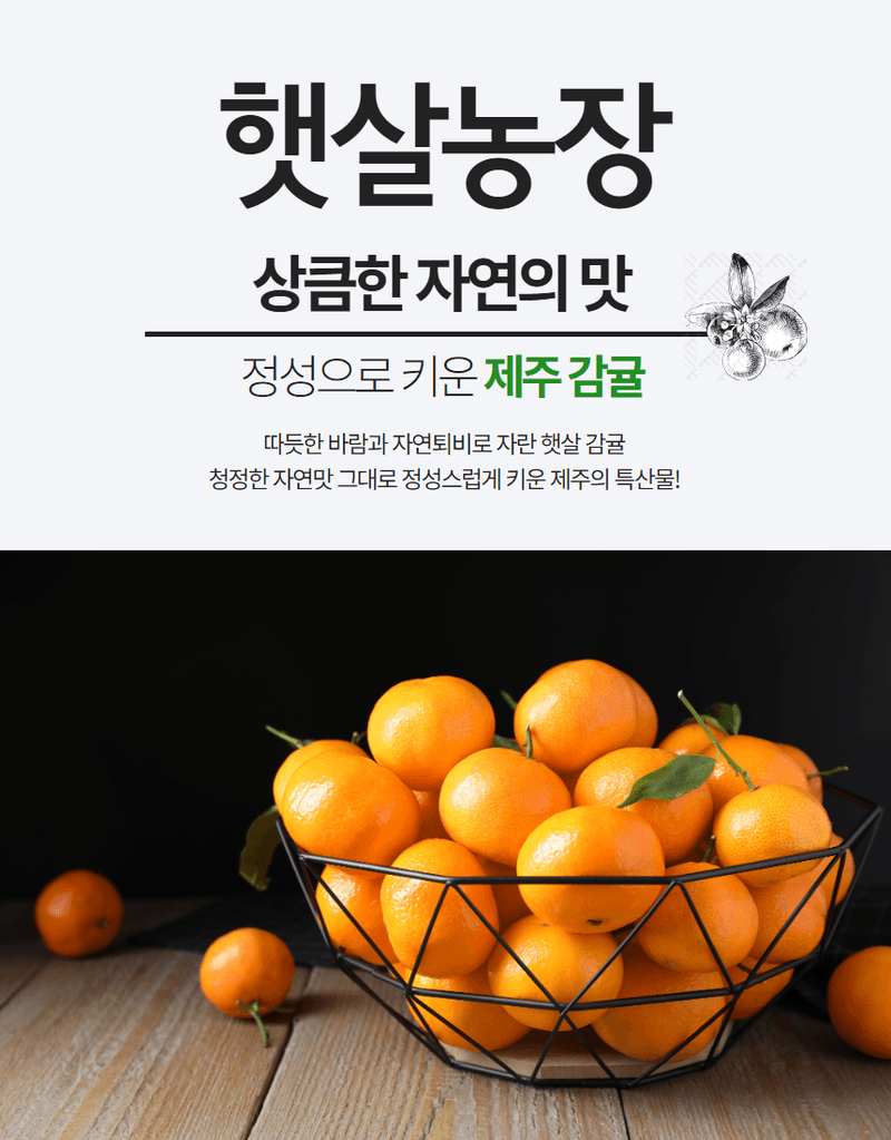 정유진님의 장터 판매 상품 [제주 감귤 로얄과 (s-m) 2kg] 첨부 사진