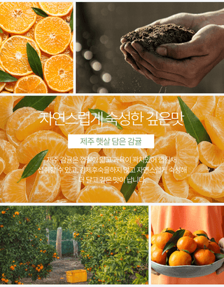 정유진님의 작성글 사진