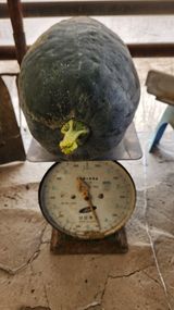 팜모닝 자유주제·건의해요 게시글 이미지