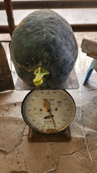 pyun2620님의 자유주제 · 건의해요 작성글 사진