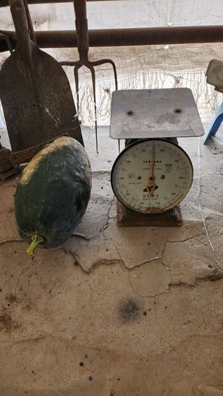 pyun2620님의 자유주제 · 건의해요 작성글 사진