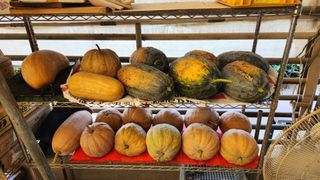 pyun2620님의 자유주제 · 건의해요 작성글 사진