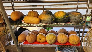 pyun2620님의 자유주제 · 건의해요 작성글 사진