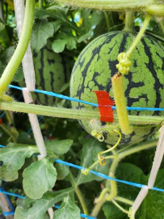 박영숙님의 작성글 사진