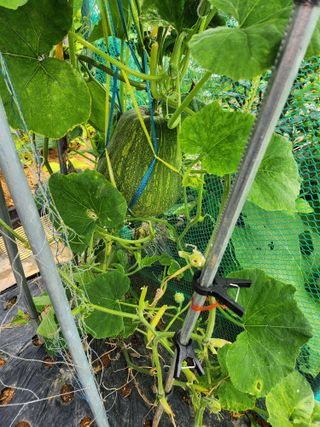 박영숙님의 작성글 사진