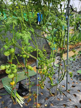 박영숙님의 작성글 사진