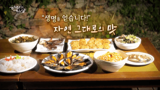 초보농부님의 요즘 즐겨보는 TV 프로그램을 알려주세요 · 참여글 작성글 사진