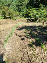 팜모닝 11월 농사 계획 공유하기·참여글 게시글 이미지