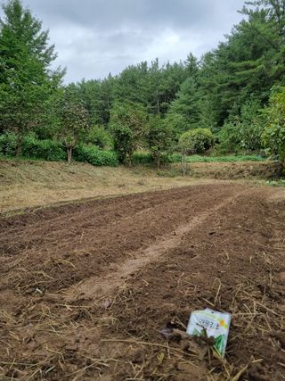 영자님의 11월 농사 계획 공유하기 · 참여글 작성글 사진