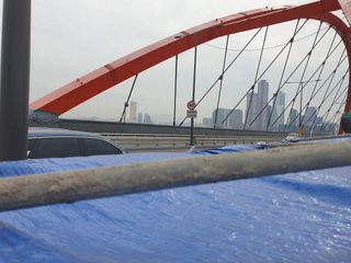 허굴산농장님의 자유주제 · 자유게시판 작성글 사진