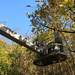 백용기님의 자유주제 · 자유게시판 작성글 사진
