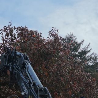 백용기님의 자유주제 · 자유게시판 작성글 사진