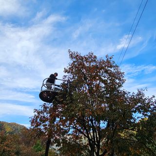 백용기님의 자유주제 · 자유게시판 작성글 사진