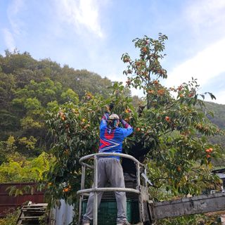 백용기님의 자유주제 · 자유게시판 작성글 사진