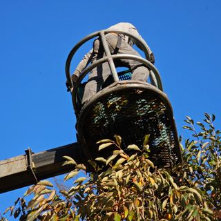 백용기님의 자유주제 · 자유게시판 작성글 사진