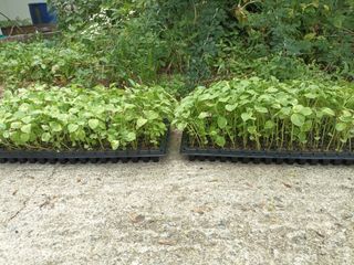 엄재식님의 자유주제 · 자유게시판 작성글 사진