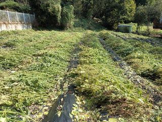 엄재식님의 자유주제 · 자유게시판 작성글 사진