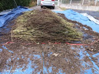 엄재식님의 자유주제 · 자유게시판 작성글 사진