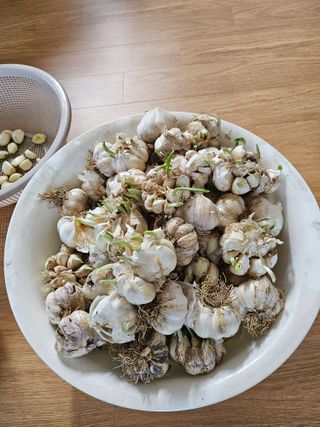 충남공주이도은님의 자유주제 · 자유게시판 작성글 사진