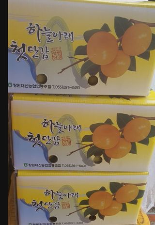 김문희님의 감 · 자유게시판 작성글 사진
