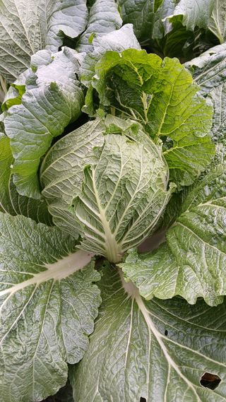 이명규님의 자유주제 · 자유게시판 작성글 사진