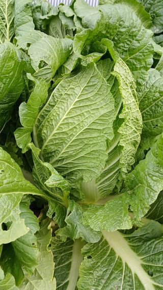 이명규님의 자유주제 · 자유게시판 작성글 사진