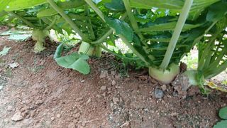 이명규님의 자유주제 · 자유게시판 작성글 사진