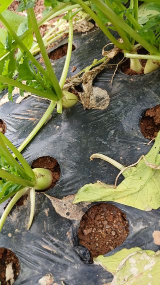 이명규님의 자유주제 · 자유게시판 작성글 사진