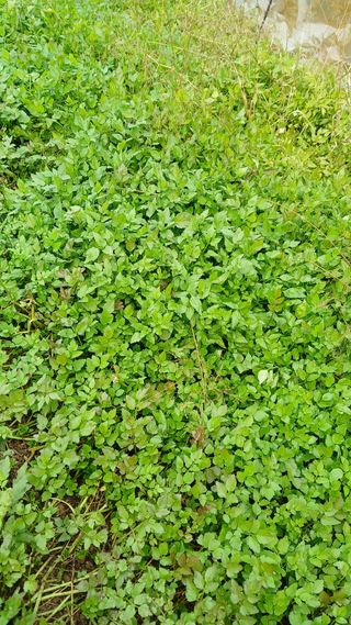 이명규님의 자유주제 · 자유게시판 작성글 사진