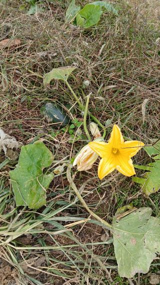이명규님의 자유주제 · 자유게시판 작성글 사진
