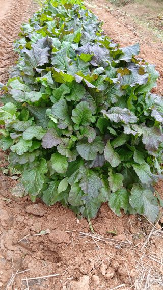 이명규님의 자유주제 · 자유게시판 작성글 사진