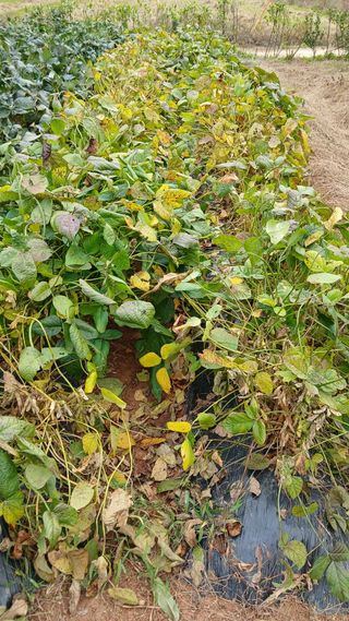 이명규님의 자유주제 · 자유게시판 작성글 사진