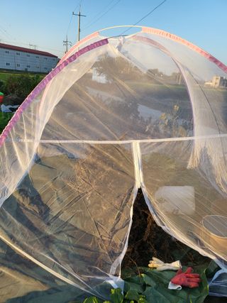 박순례님의 11월 농사 계획 공유하기 · 참여글 작성글 사진