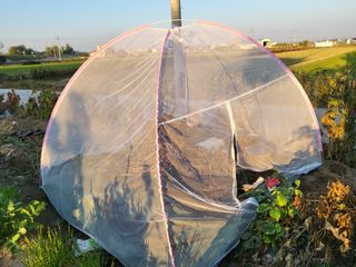 박순례님의 11월 농사 계획 공유하기 · 참여글 작성글 사진